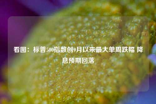 看图：标普500指数创9月以来最大单周跌幅 降息预期回落