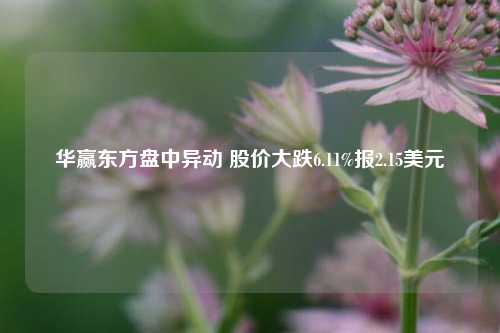 华赢东方盘中异动 股价大跌6.11%报2.15美元