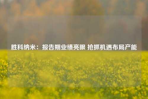 胜科纳米：报告期业绩亮眼 抢抓机遇布局产能