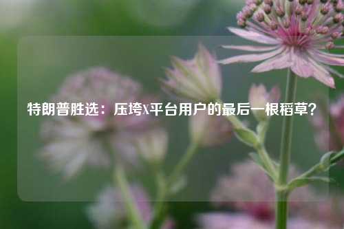 特朗普胜选：压垮X平台用户的最后一根稻草？