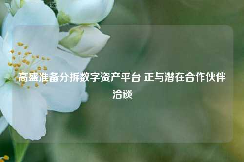 高盛准备分拆数字资产平台 正与潜在合作伙伴洽谈