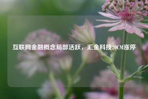 互联网金融概念局部活跃，汇金科技20CM涨停