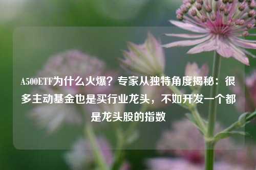 A500ETF为什么火爆？专家从独特角度揭秘：很多主动基金也是买行业龙头，不如开发一个都是龙头股的指数