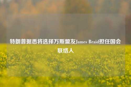 特朗普据悉将选择万斯盟友James Braid担任国会联络人