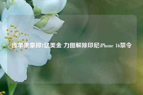 传苹果豪掷1亿美金 力图解除印尼iPhone 16禁令