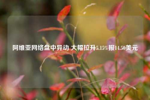 阿维亚网络盘中异动 大幅拉升5.15%报14.50美元