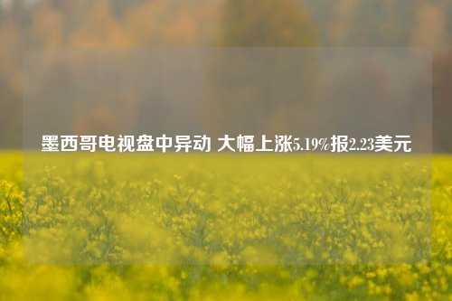 墨西哥电视盘中异动 大幅上涨5.19%报2.23美元