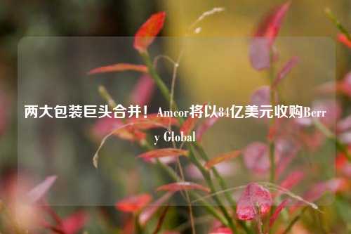 两大包装巨头合并！Amcor将以84亿美元收购Berry Global