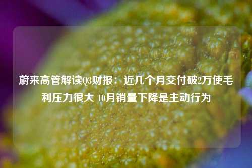 蔚来高管解读Q3财报：近几个月交付破2万使毛利压力很大 10月销量下降是主动行为