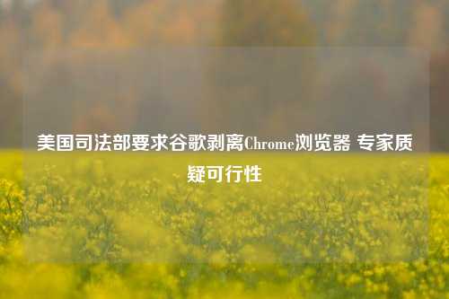 美国司法部要求谷歌剥离Chrome浏览器 专家质疑可行性