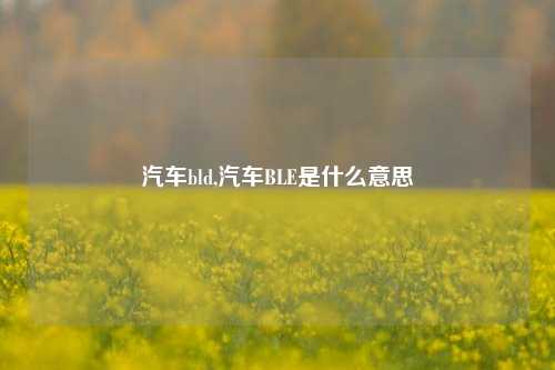 汽车bld,汽车BLE是什么意思