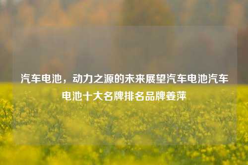 汽车电池，动力之源的未来展望汽车电池汽车电池十大名牌排名品牌姜萍