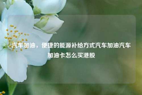 汽车加油，便捷的能源补给方式汽车加油汽车加油卡怎么买港股