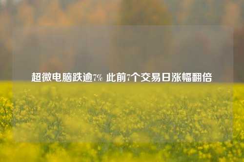 超微电脑跌逾7% 此前7个交易日涨幅翻倍