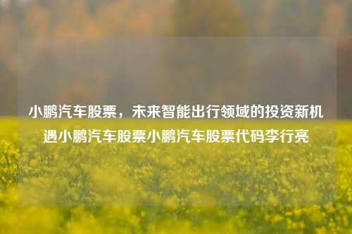 小鹏汽车股票，未来智能出行领域的投资新机遇小鹏汽车股票小鹏汽车股票代码李行亮