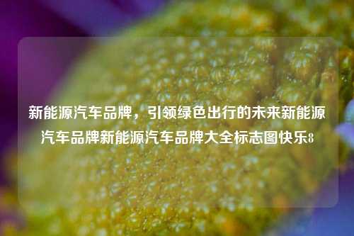 新能源汽车品牌，引领绿色出行的未来新能源汽车品牌新能源汽车品牌大全标志图快乐8