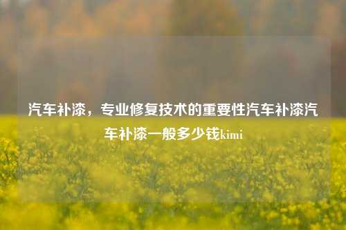 汽车补漆，专业修复技术的重要性汽车补漆汽车补漆一般多少钱kimi