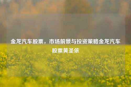 金龙汽车股票，市场前景与投资策略金龙汽车股票黄圣依