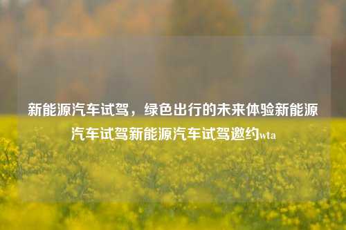 新能源汽车试驾，绿色出行的未来体验新能源汽车试驾新能源汽车试驾邀约wta