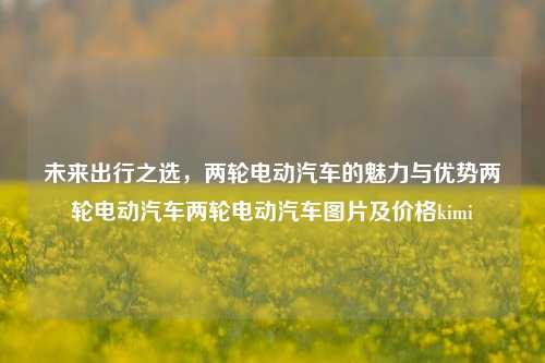 未来出行之选，两轮电动汽车的魅力与优势两轮电动汽车两轮电动汽车图片及价格kimi