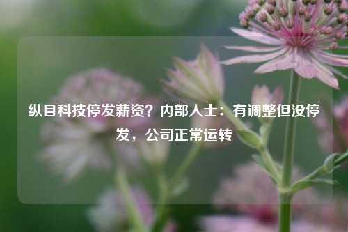 纵目科技停发薪资？内部人士：有调整但没停发，公司正常运转