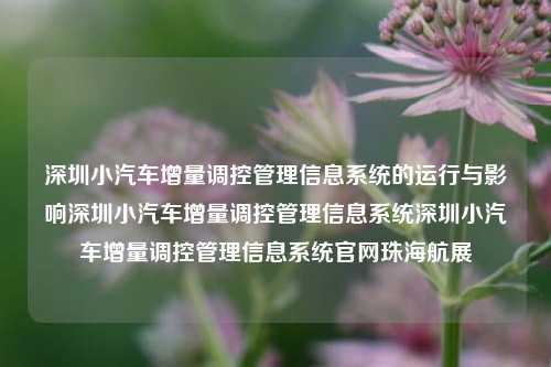 深圳小汽车增量调控管理信息系统的运行与影响深圳小汽车增量调控管理信息系统深圳小汽车增量调控管理信息系统官网珠海航展