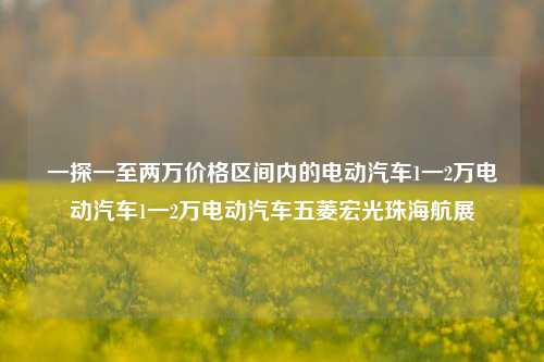 一探一至两万价格区间内的电动汽车1一2万电动汽车1一2万电动汽车五菱宏光珠海航展