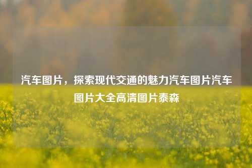 汽车图片，探索现代交通的魅力汽车图片汽车图片大全高清图片泰森