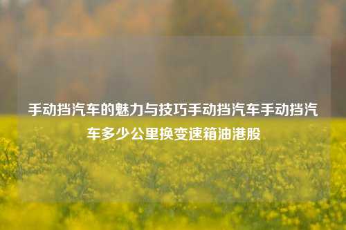 手动挡汽车的魅力与技巧手动挡汽车手动挡汽车多少公里换变速箱油港股