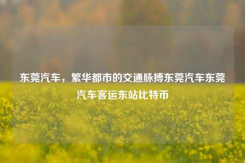 东莞汽车，繁华都市的交通脉搏东莞汽车东莞汽车客运东站比特币