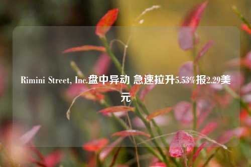 Rimini Street, Inc.盘中异动 急速拉升5.53%报2.29美元