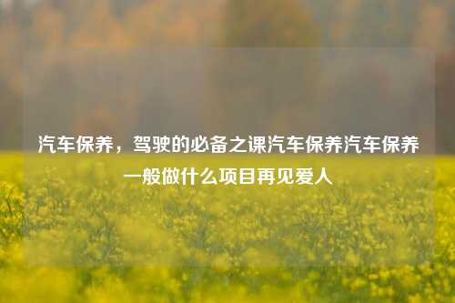 汽车保养，驾驶的必备之课汽车保养汽车保养一般做什么项目再见爱人