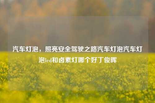 汽车灯泡，照亮安全驾驶之路汽车灯泡汽车灯泡led和卤素灯哪个好丁俊晖