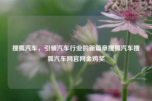 搜狐汽车，引领汽车行业的新篇章搜狐汽车搜狐汽车网官网金鸡奖