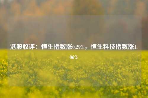 港股收评：恒生指数涨0.29%，恒生科技指数涨1.06%