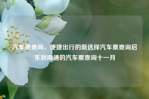 汽车票查询，便捷出行的新选择汽车票查询启东到南通的汽车票查询十一月