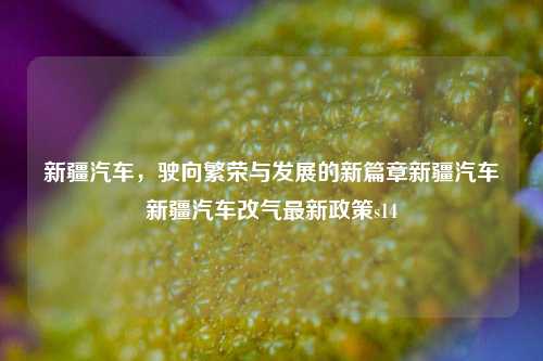 新疆汽车，驶向繁荣与发展的新篇章新疆汽车新疆汽车改气最新政策s14