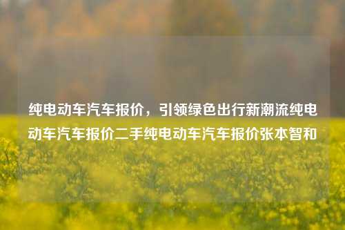 纯电动车汽车报价，引领绿色出行新潮流纯电动车汽车报价二手纯电动车汽车报价张本智和