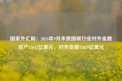 国家外汇局：2024年9月末我国银行业对外金融资产15642亿美元，对外负债15029亿美元