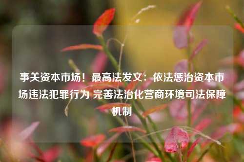 事关资本市场！最高法发文：依法惩治资本市场违法犯罪行为 完善法治化营商环境司法保障机制