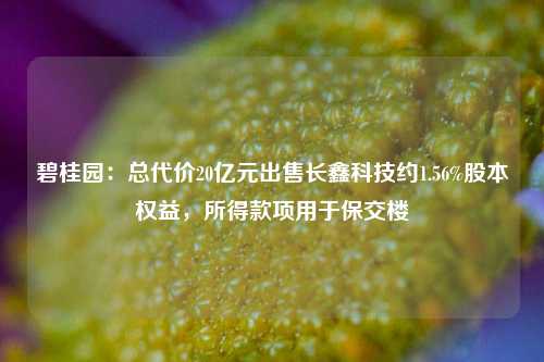 碧桂园：总代价20亿元出售长鑫科技约1.56%股本权益，所得款项用于保交楼