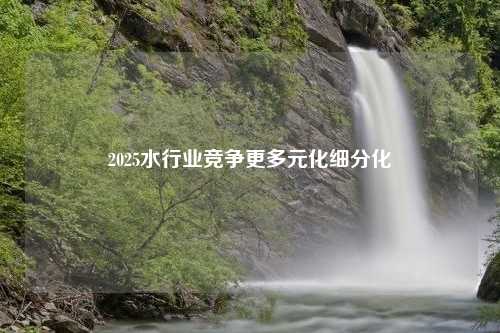 2025水行业竞争更多元化细分化