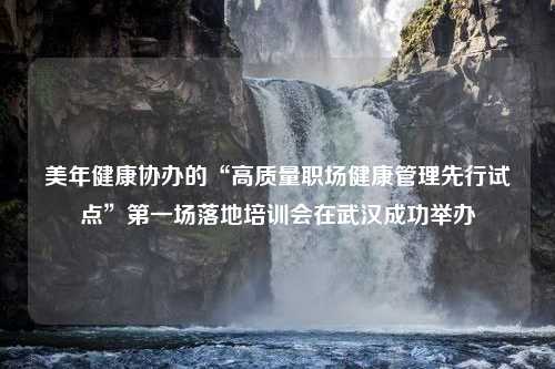 美年健康协办的“高质量职场健康管理先行试点”第一场落地培训会在武汉成功举办