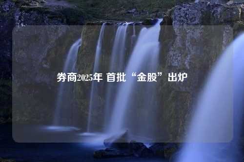 券商2025年 首批“金股”出炉