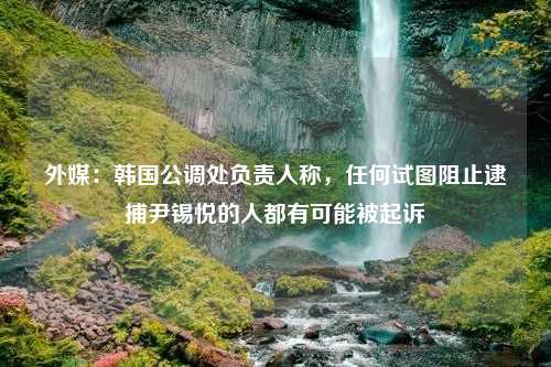 外媒：韩国公调处负责人称，任何试图阻止逮捕尹锡悦的人都有可能被起诉