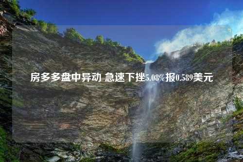 房多多盘中异动 急速下挫5.08%报0.589美元