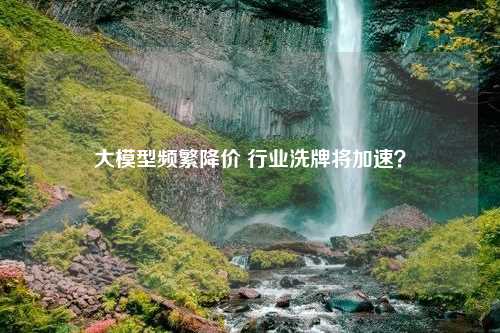 大模型频繁降价 行业洗牌将加速？