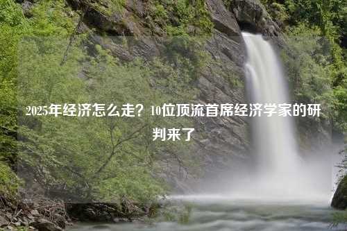 2025年经济怎么走？10位顶流首席经济学家的研判来了