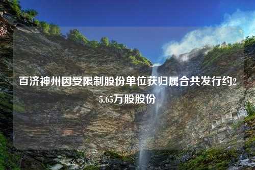 百济神州因受限制股份单位获归属合共发行约25.65万股股份