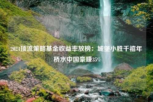 2024顶流策略基金收益率放榜：城堡小胜千禧年 桥水中国豪赚35%